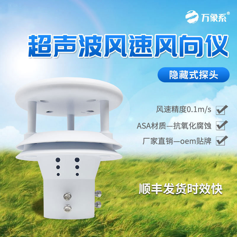 風(fēng)中的